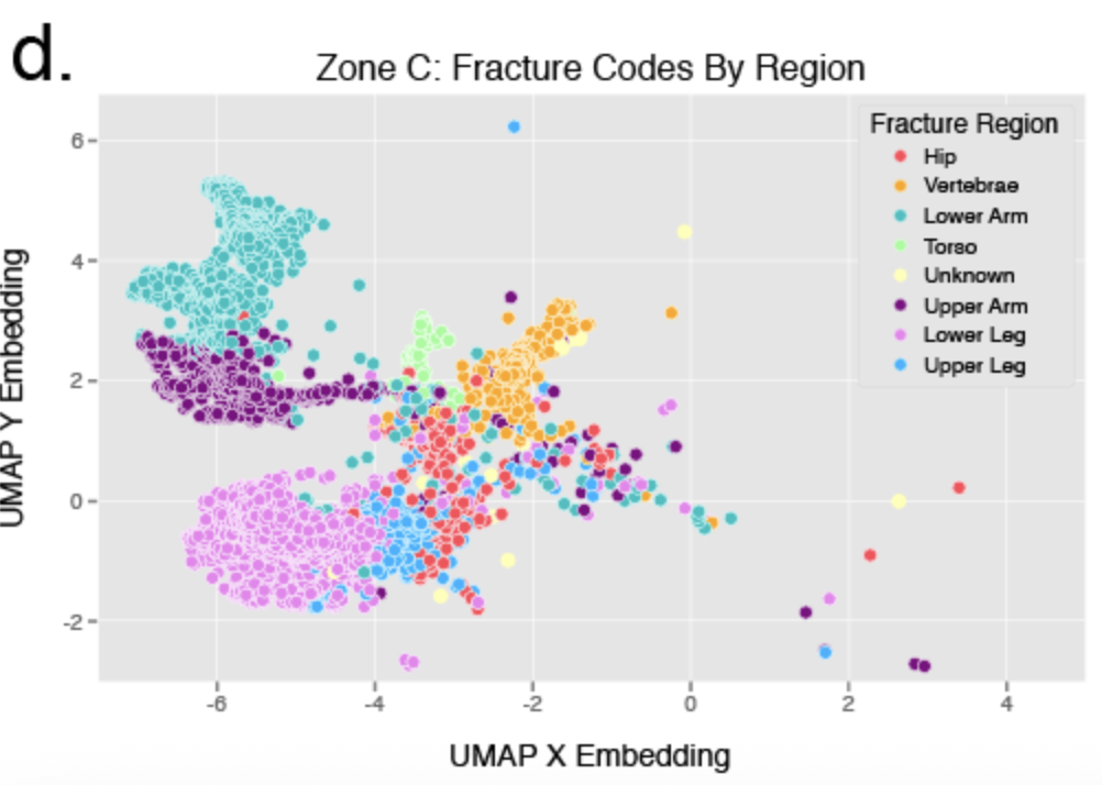 UMAP projection of ICD-10 fracture codes colored by anatomical region, from the Crystal Bone paper